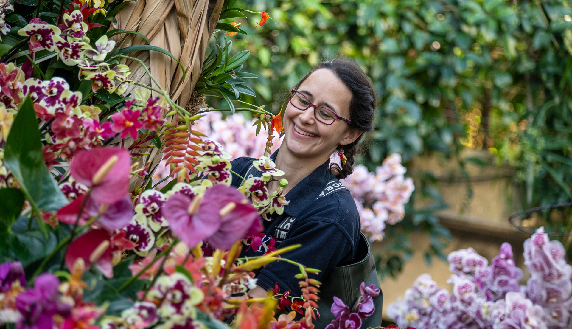 Kew Gardens Orchid Festival