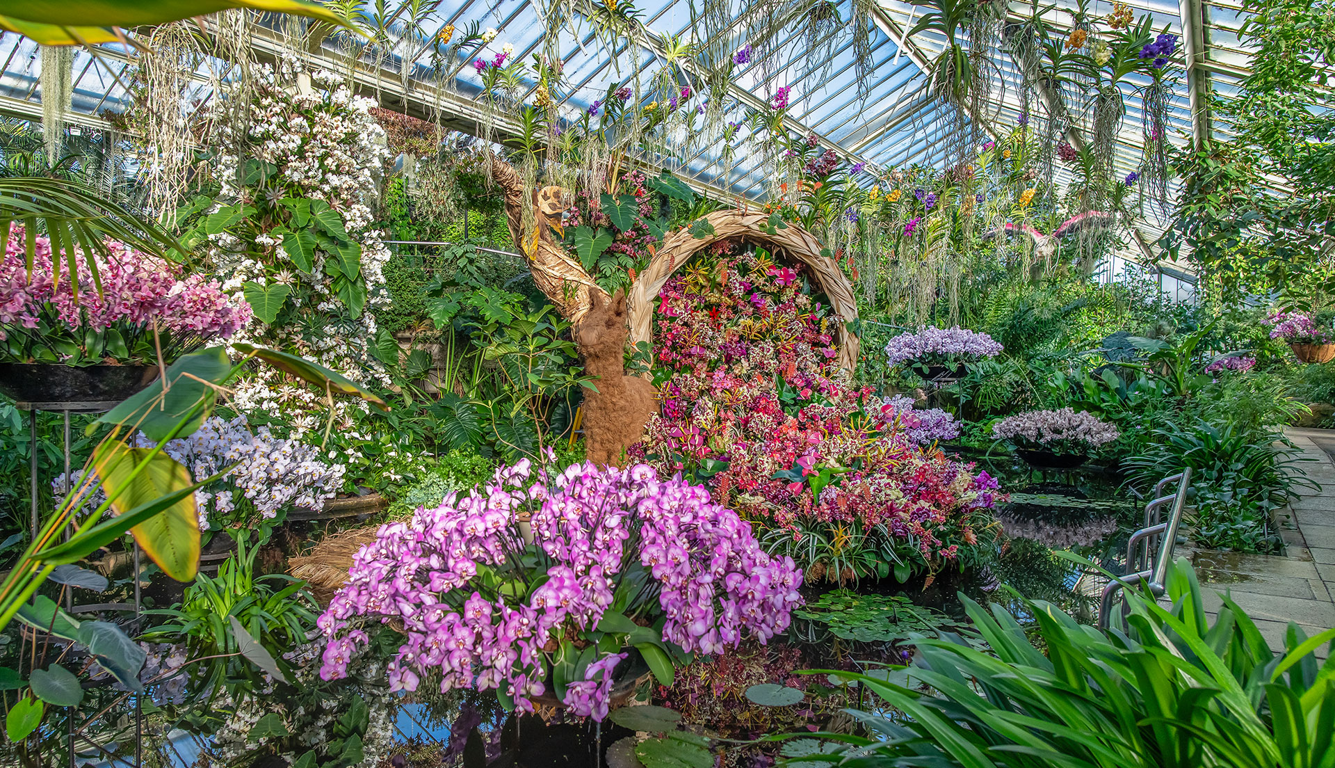 Kew Gardens Orchid Festival