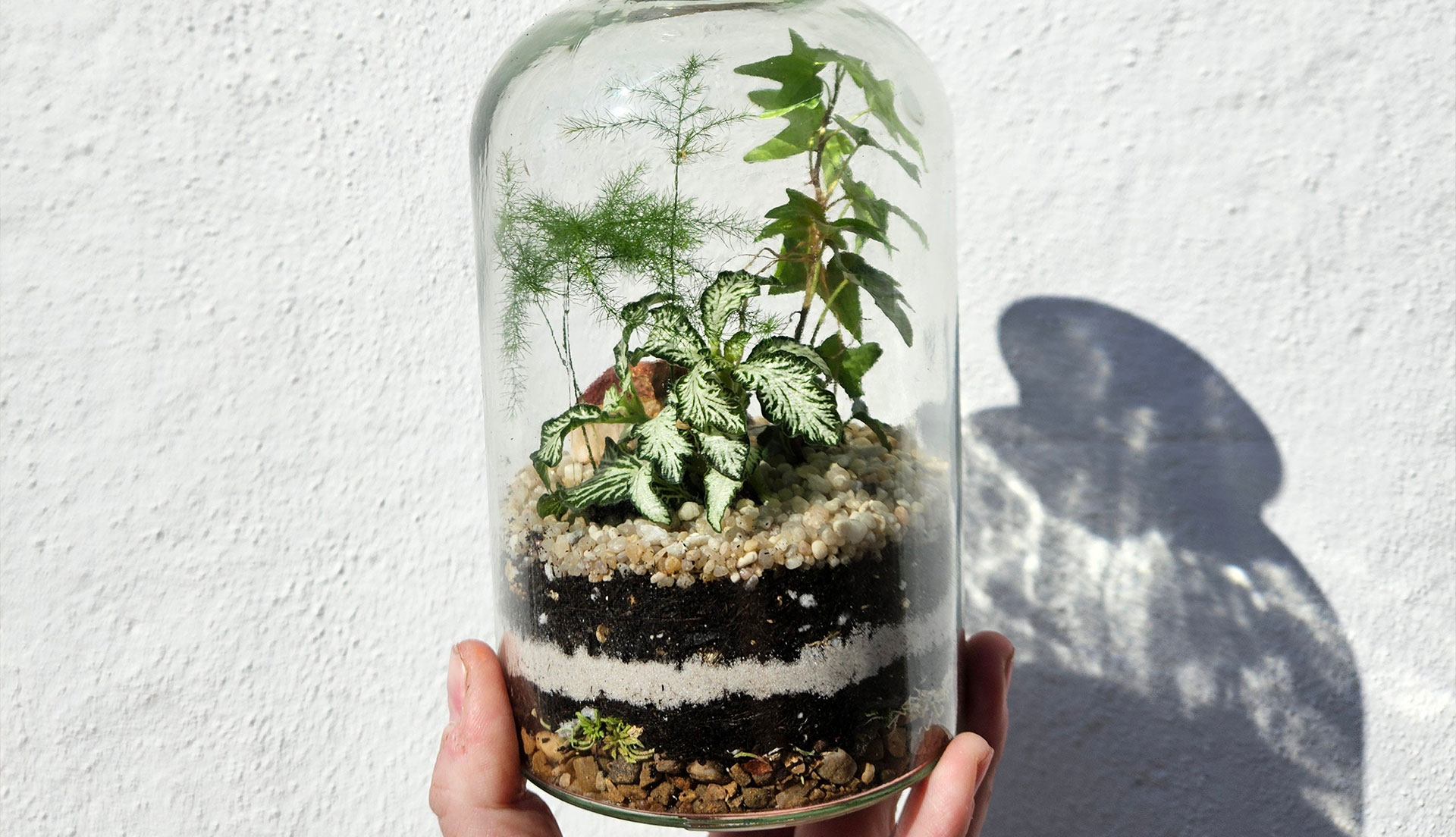 Mother’s Day Brighton 2026