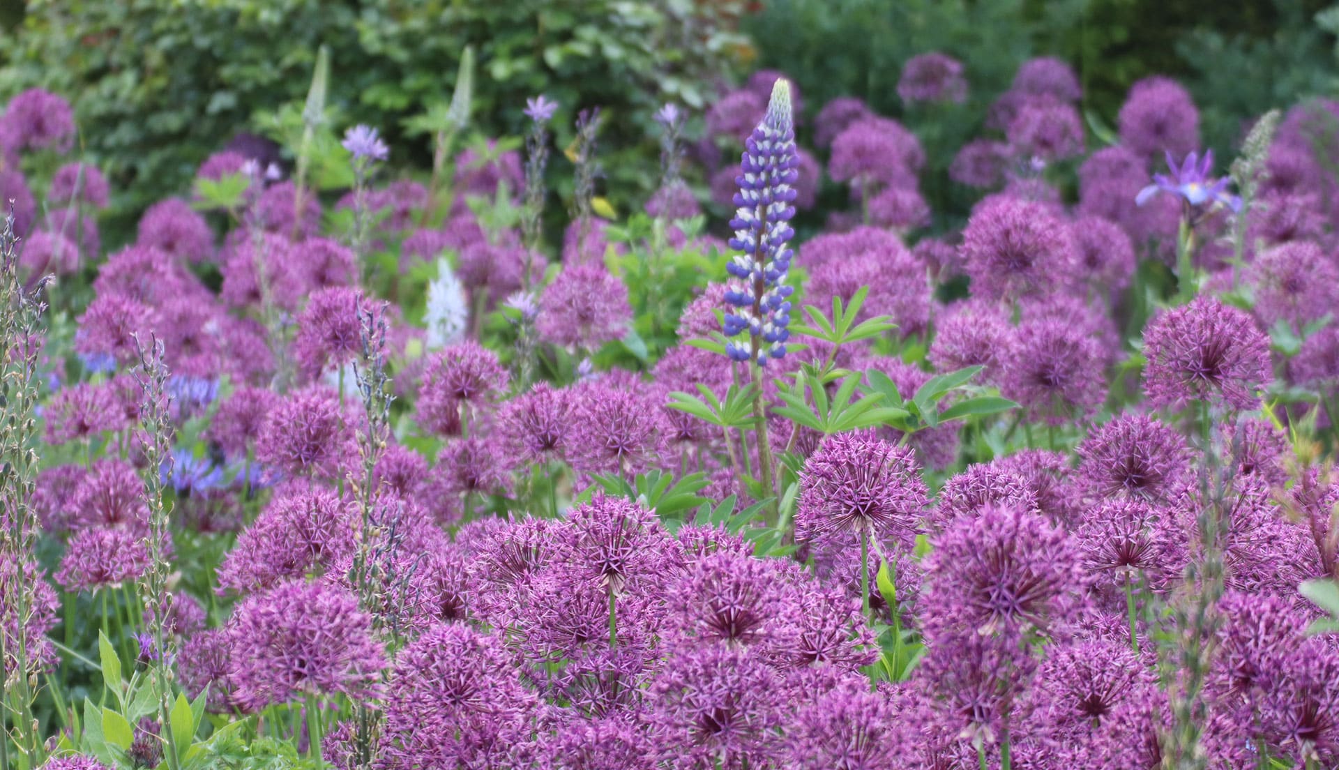 Sussex Gardens Landmark Events 2026