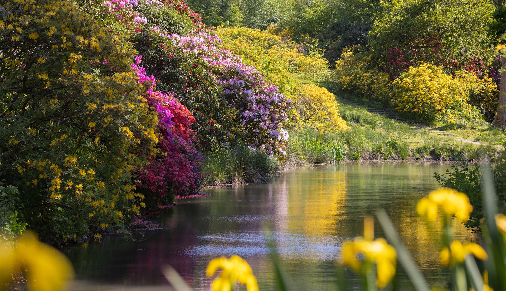 Sussex Gardens Landmark Events 2026