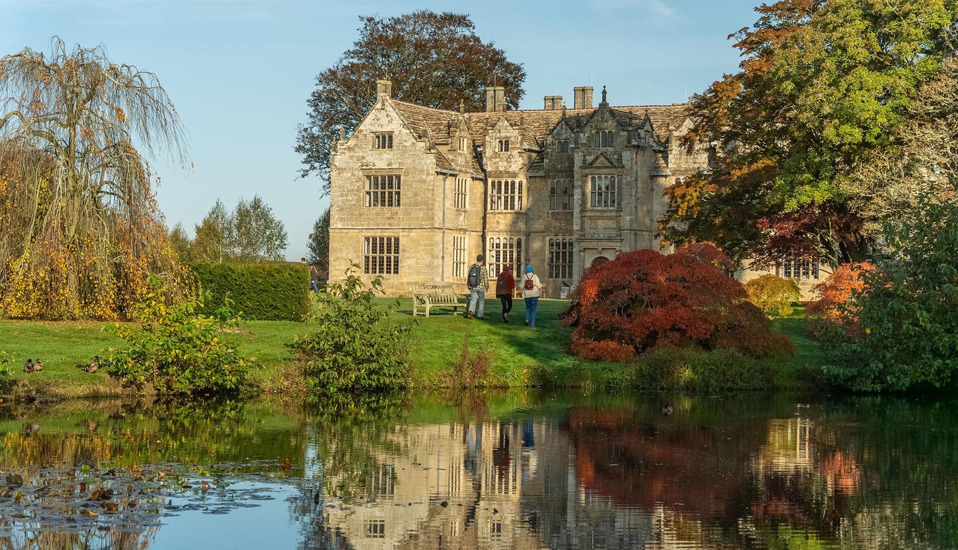 Kew Wakehurst wins Bloom Awards