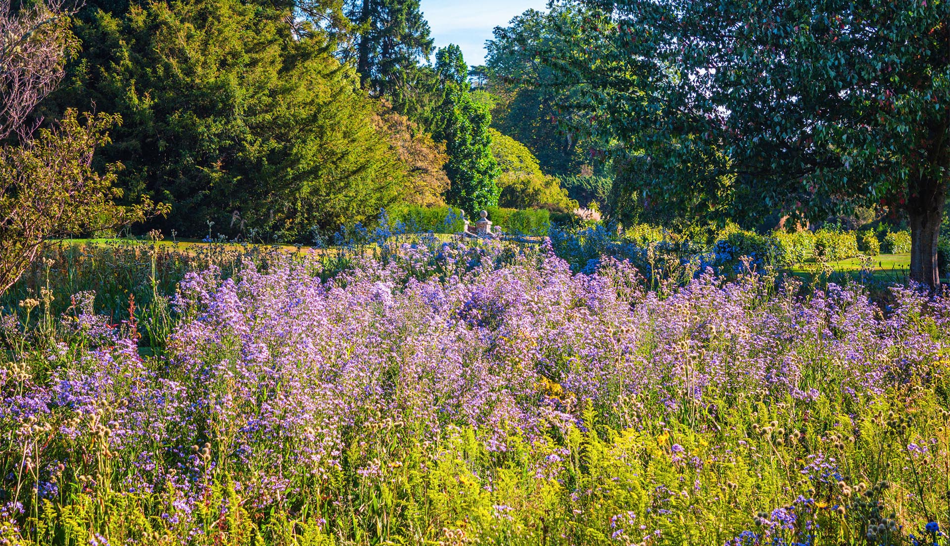 Kew Wakehurst wins Bloom Awards