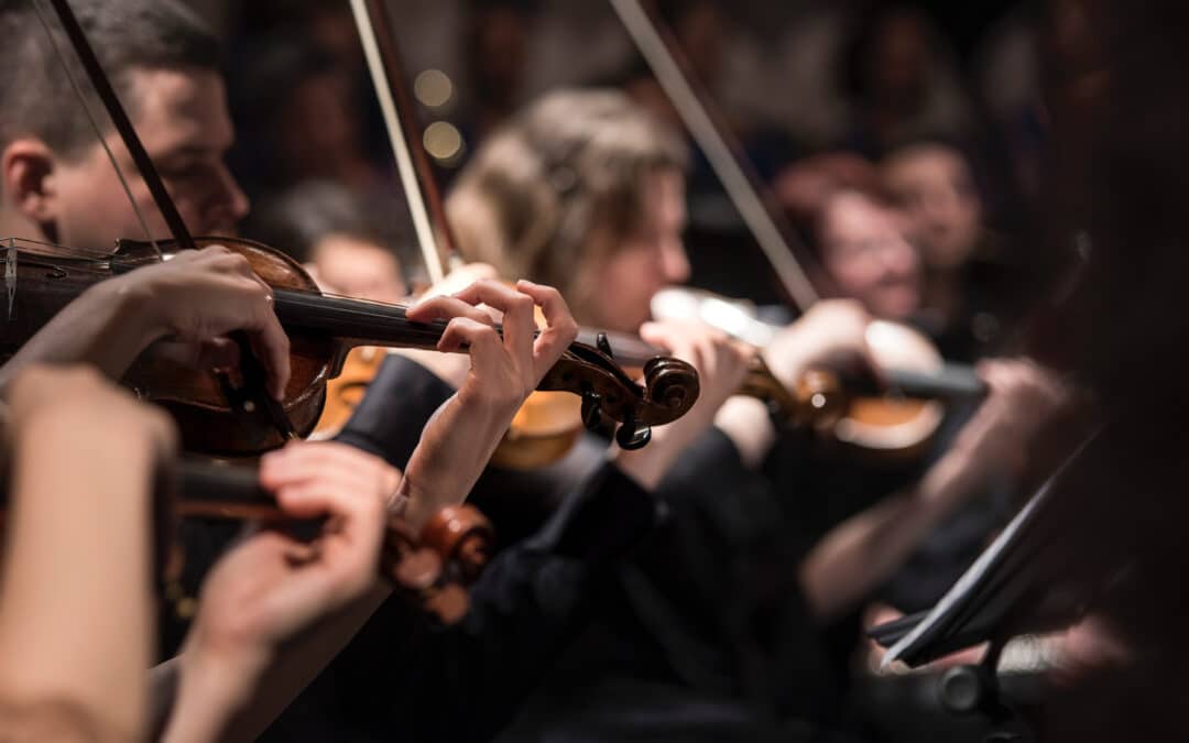 Lewes Music Centre Summer Concert