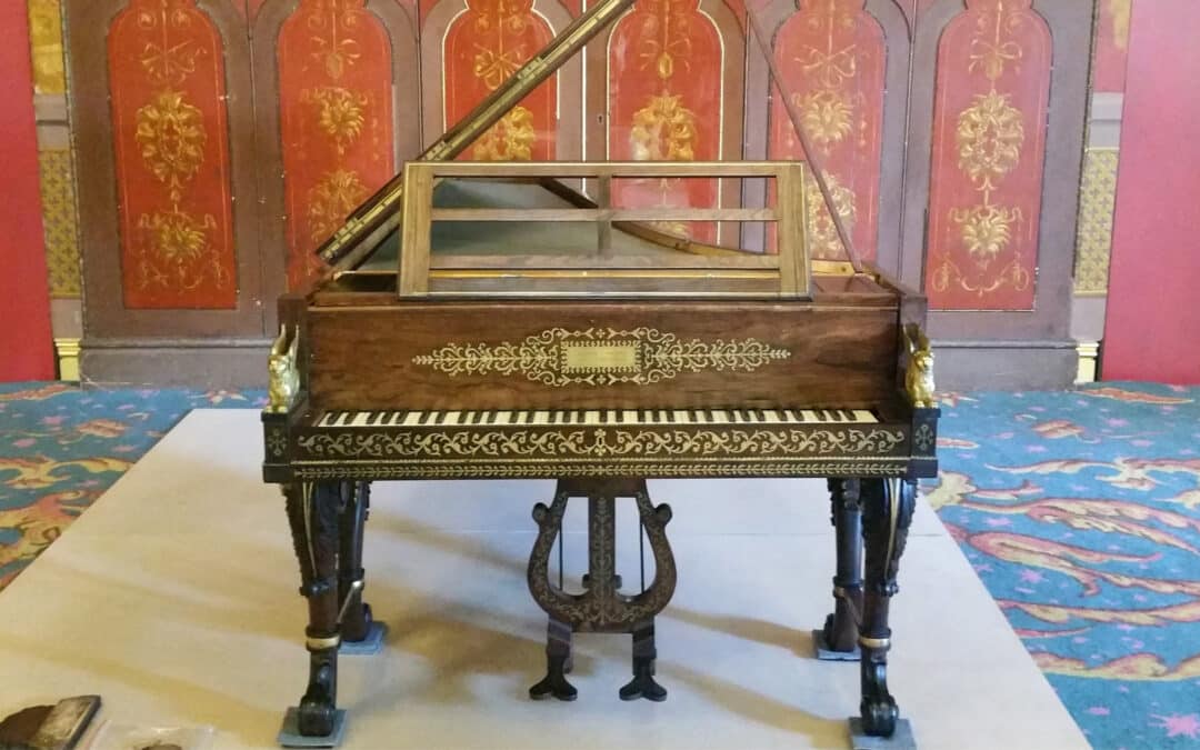 11/7  A Year in Conservation