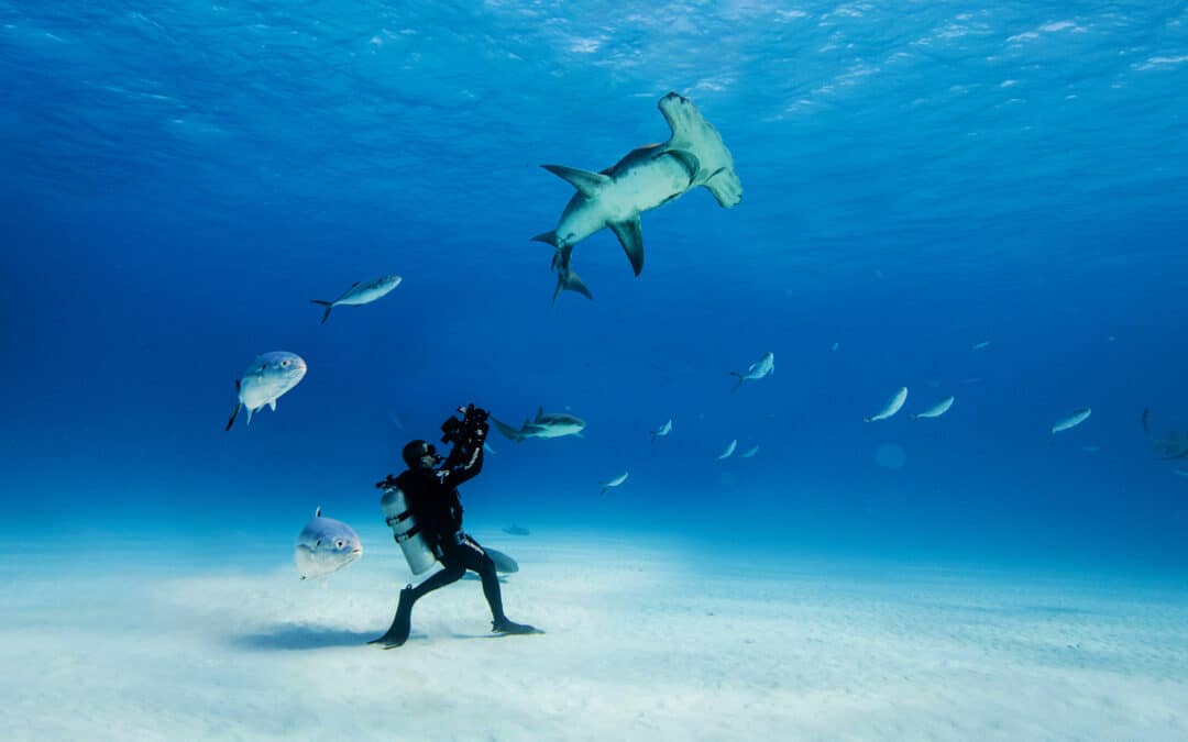 Ocean Film Festival World Tour