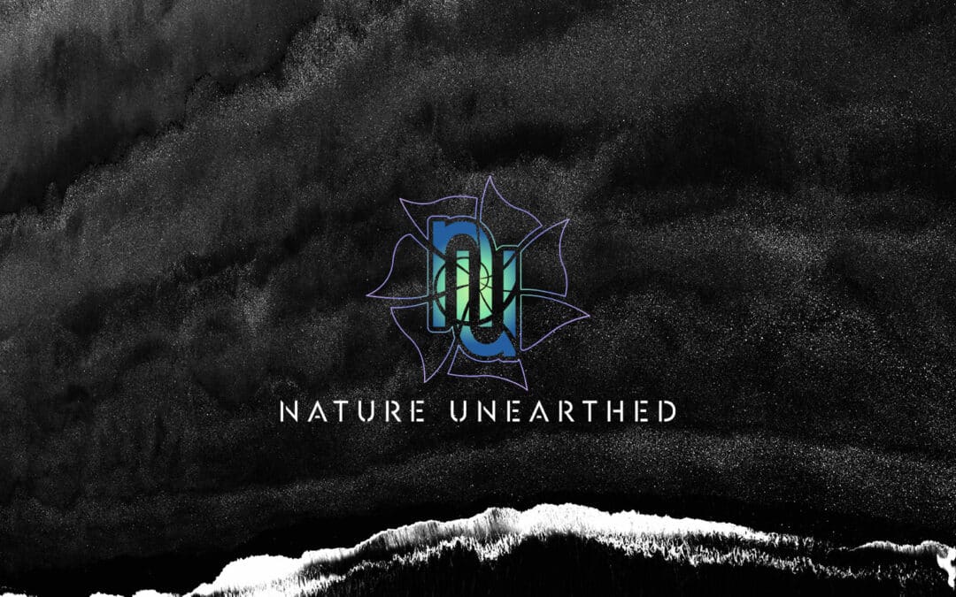 South of England Mineral Show