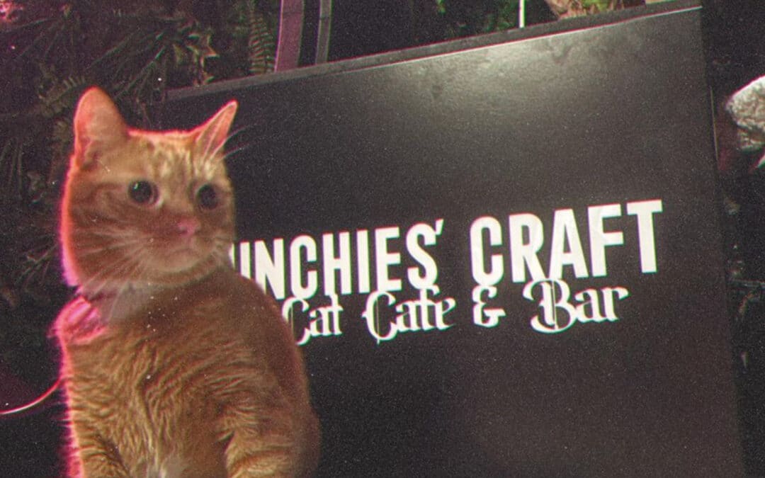 Munchies Cat Café