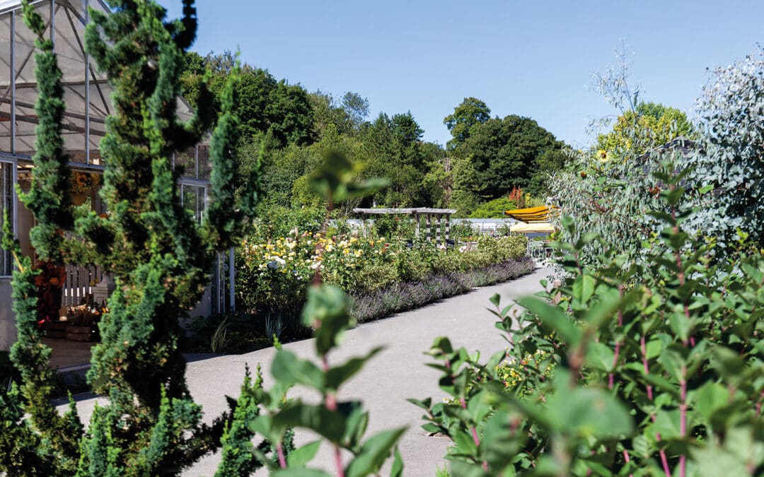 October at One Garden