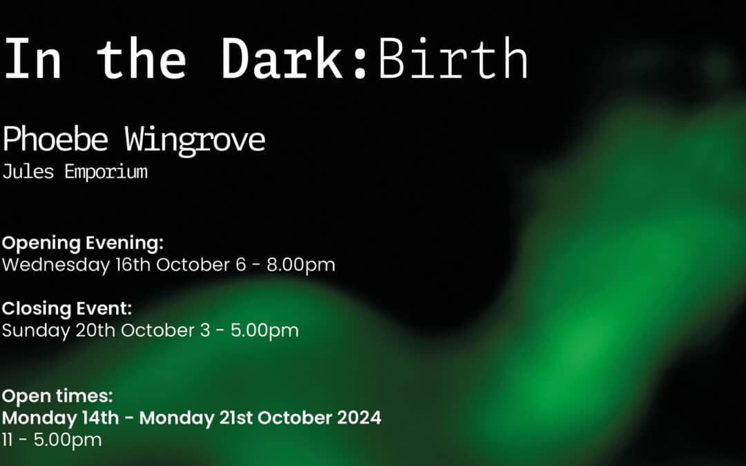 In The Dark: Birth by Phoebe Wingrove