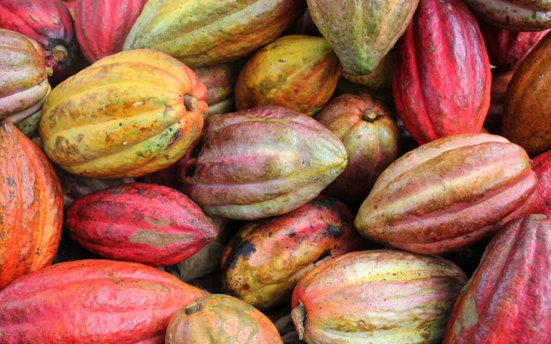 Brighton Chocolate Festival 