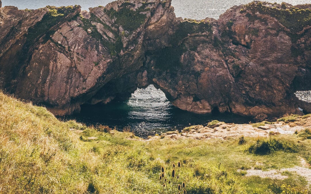 Wellbeing trends for autumn