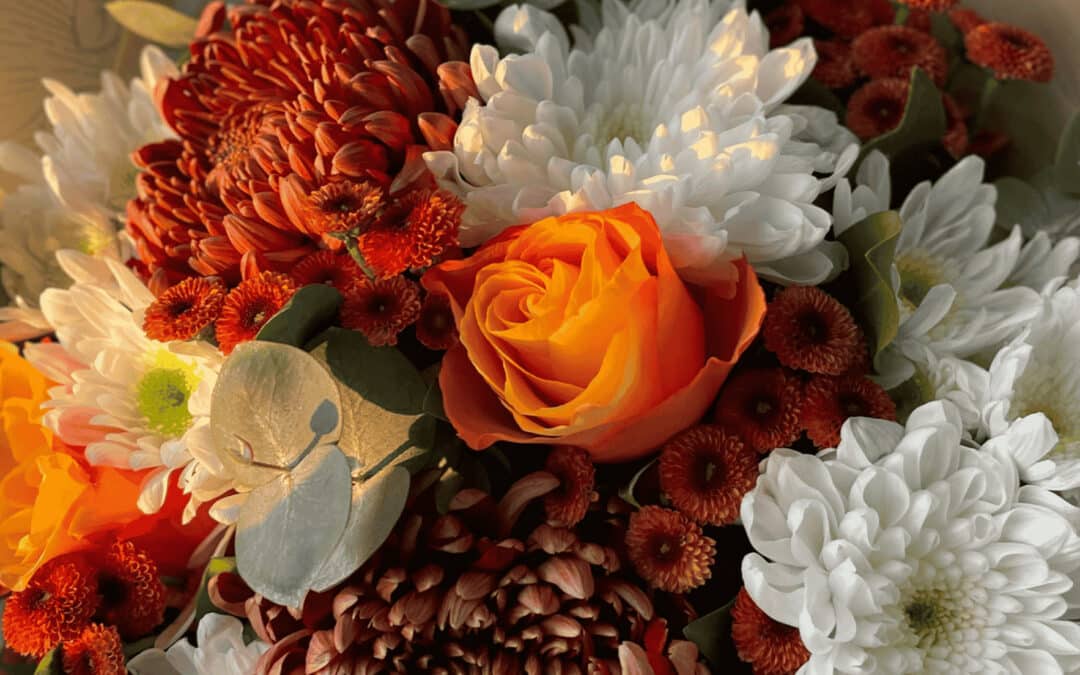 One Garden Brighton October