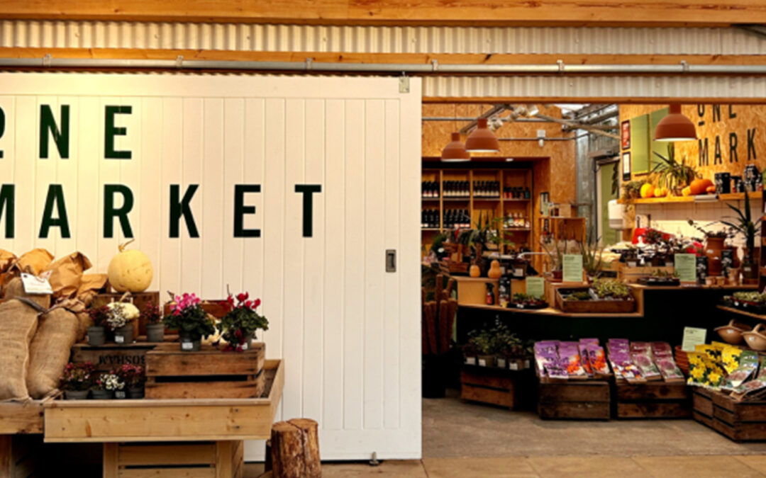 One Garden Brighton: events in December