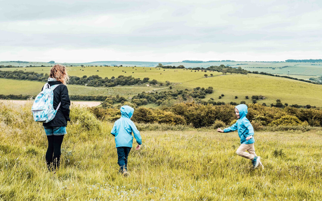 Wild Wellbeing Winter Walks
