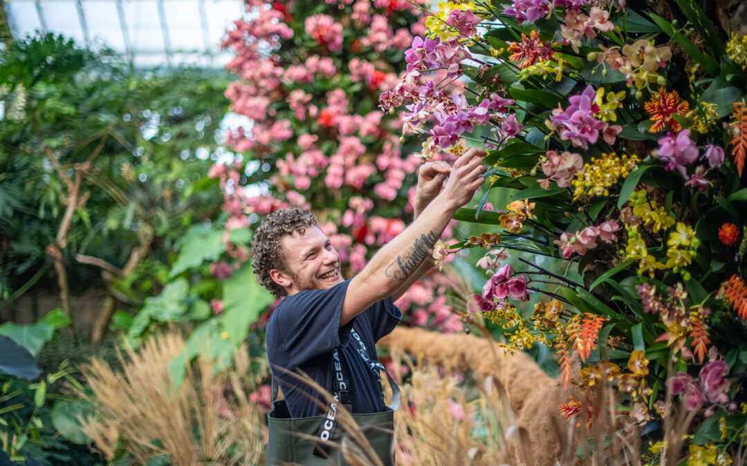 Kew Gardens Orchid Festival – London