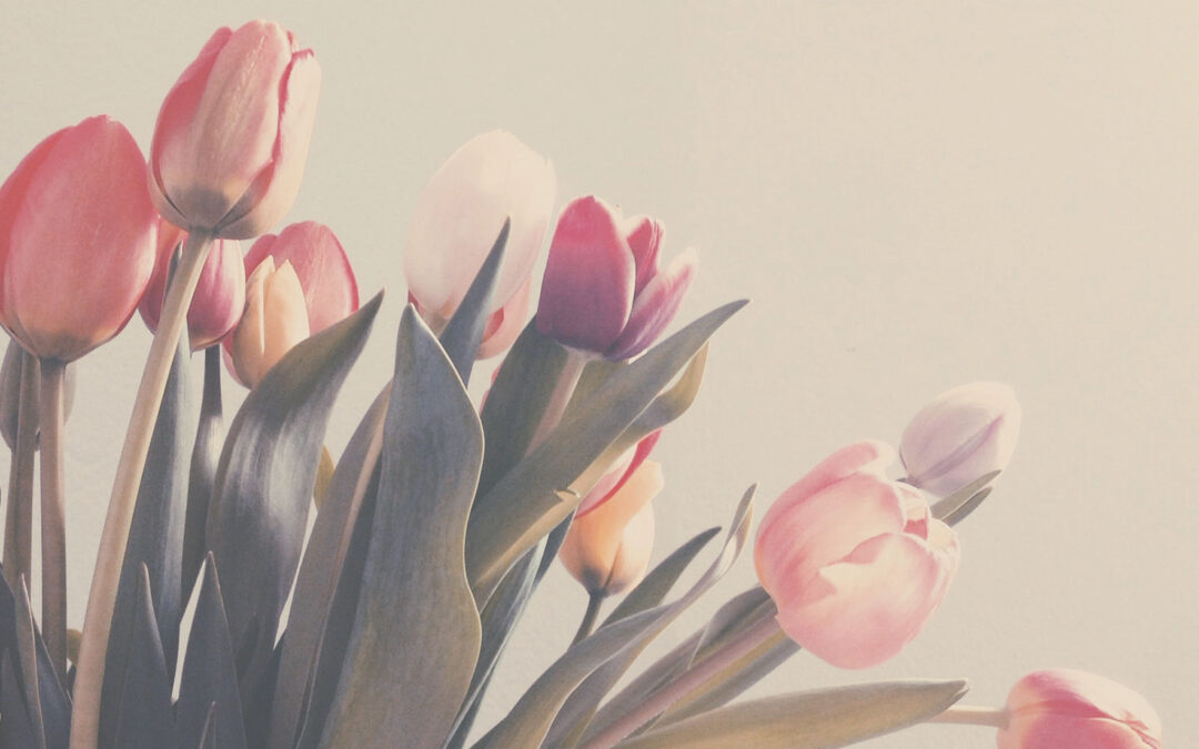 One Garden Brighton Feb 2026 Events