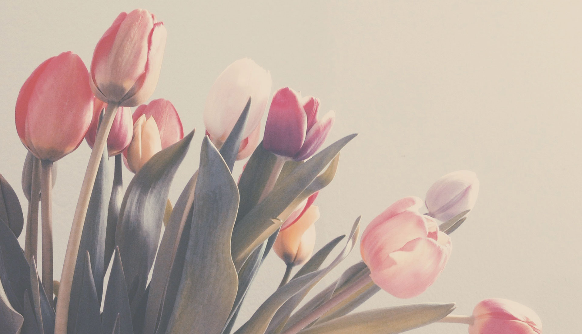 One Garden Brighton Feb 2026