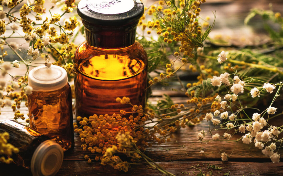 One Garden Brighton March 2026