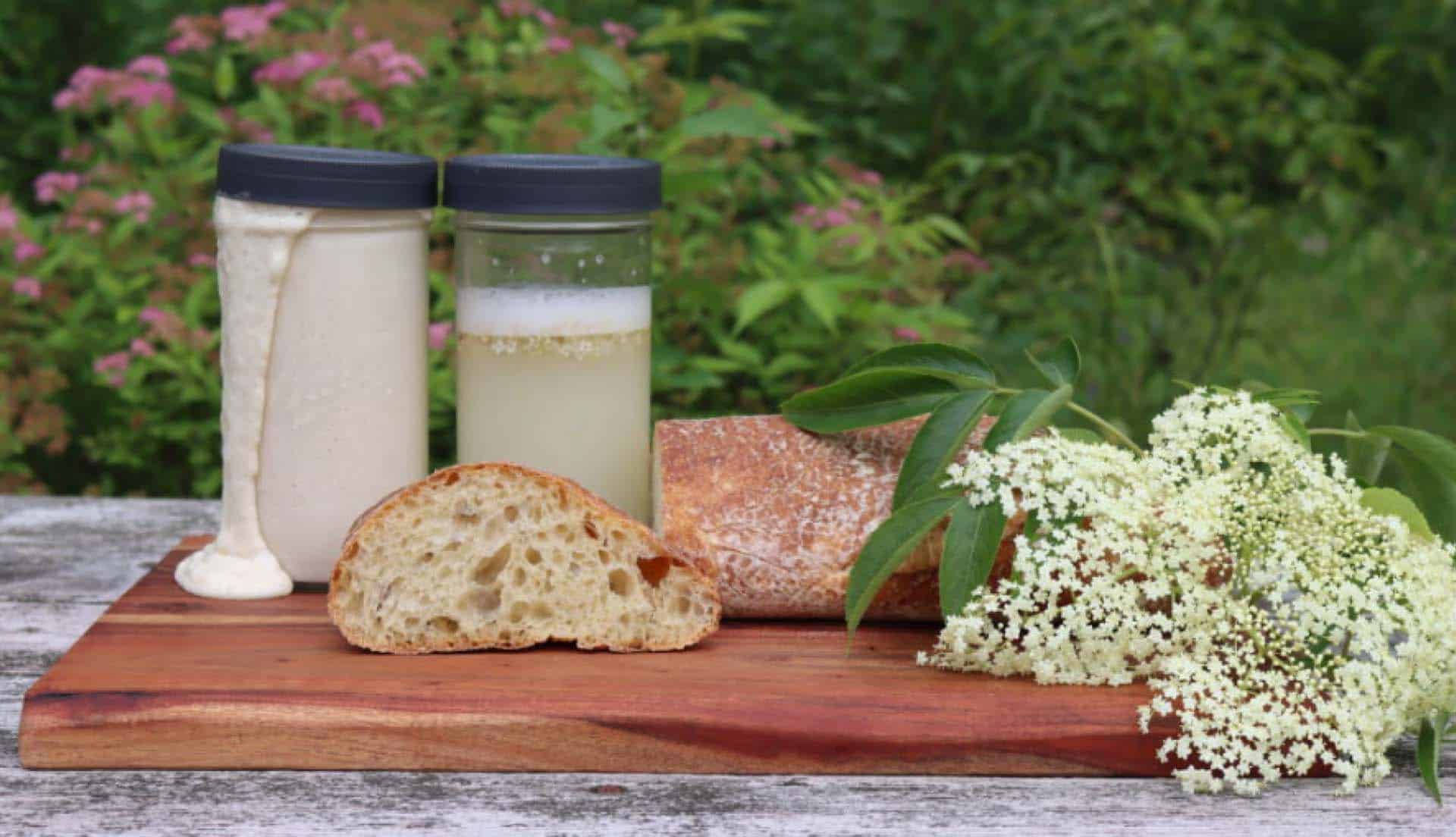 Sourdough And The Cultivation of Wild Yeast