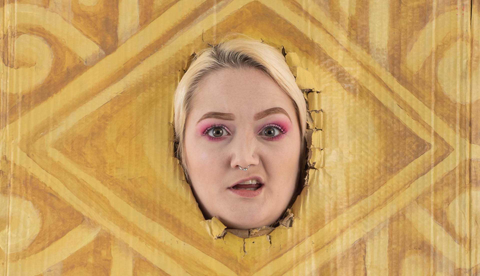 Biscuit Barrel: The 69-Sketch Show