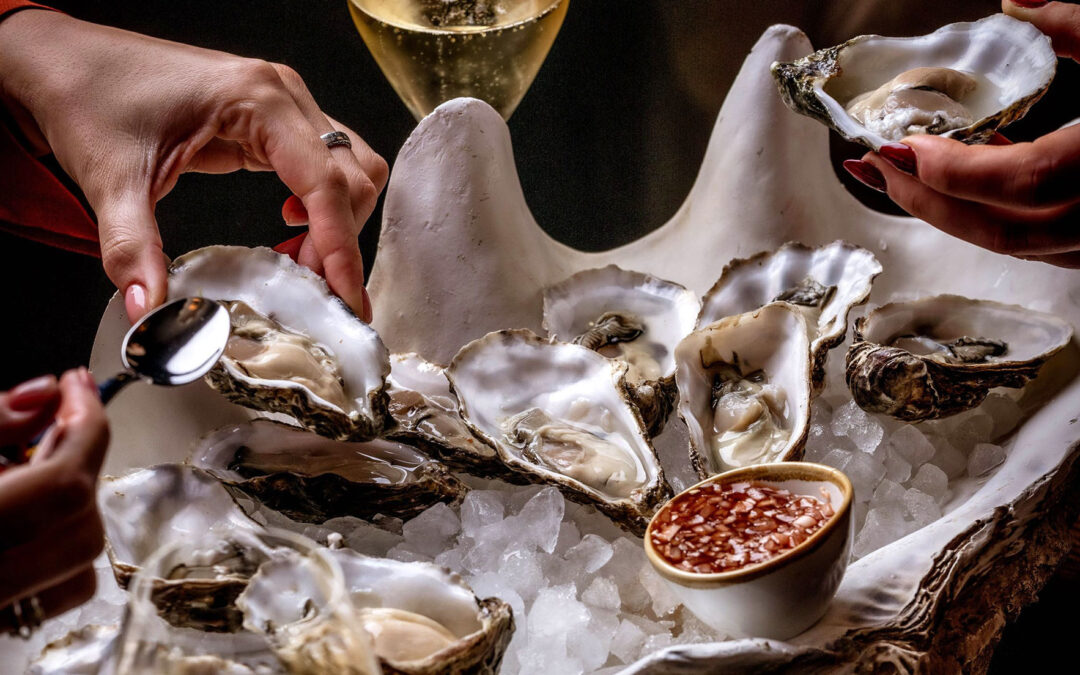 BITE Brighton Oyster Festival