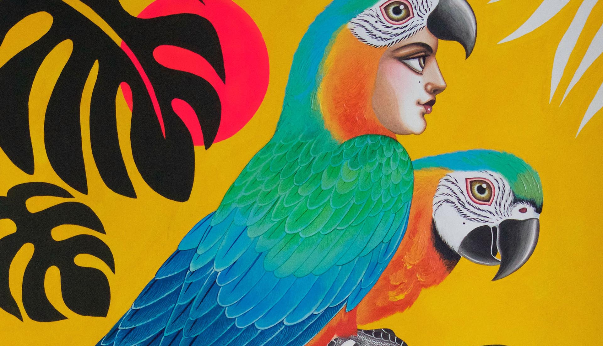 Jungle Harpies & African Vistas
