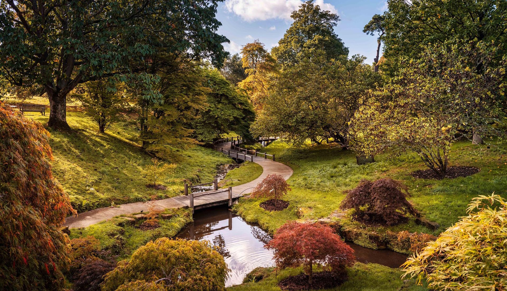 Kew Wakehurst wins Bloom Awards
